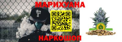 PSILOCYBIN Бугуруслан