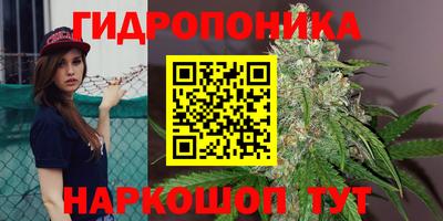 2c-b Будённовск