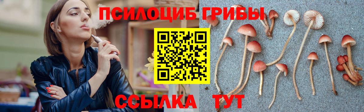 Псилоцибиновые грибы Magic Shrooms Пушкино